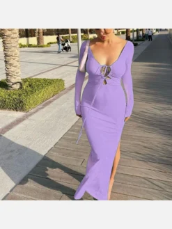 Long Sleeve Backless Fitted Slit Maxi Dress