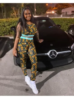 Tiger Animal Print Matching Women Two Piece Sets