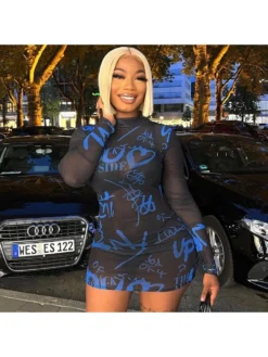 Nightclub Black See Through Long Sleeve Mini Dress