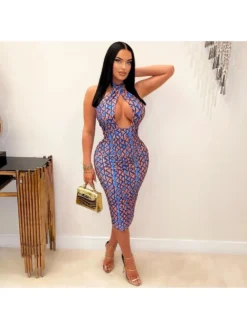 Blue Halter Printing Long Sleeveless Dress