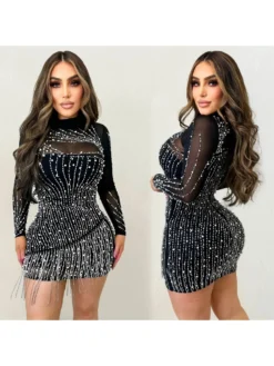 Long Sleeve Mesh Embroidery Beaded Dress