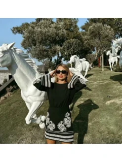 Embroidery High Rise Loose Ethnic Dress