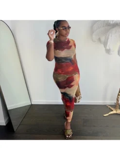 Colorblock Printed Fitted Short Sleeve Dress