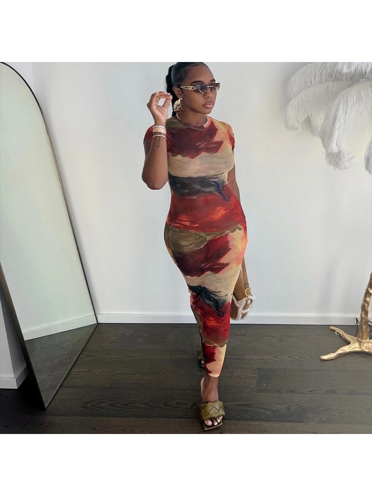 Colorblock Printed Fitted Short Sleeve Dress