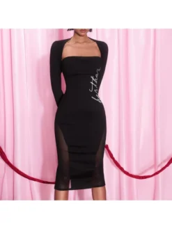 See Through Skinny Long Sleeve Midi Dress