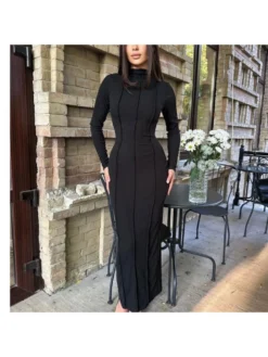 Patchwork Turtleneck Skinny Long Sleeves Dress