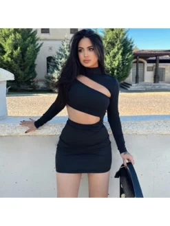 Hollow-out Turtleneck Sheath Dress Long Sleeves Dress